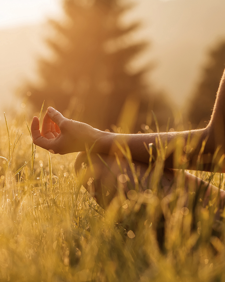 proyecto cuatrocientos sanmiguel